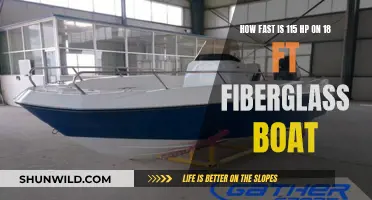 The Thrill of 115 HP on an 18-Foot Fiberglass Boat