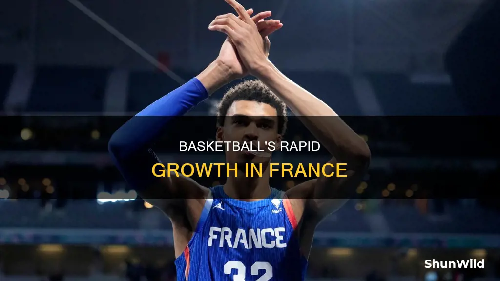 how fast is basketball growing in france