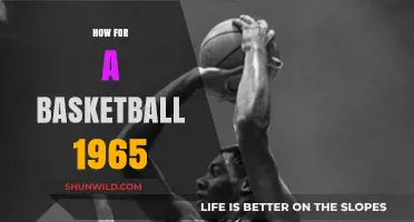 Vintage Basketball: 1965 Guide