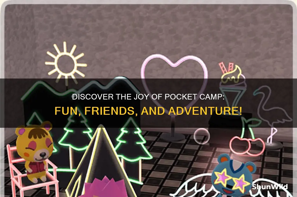 how fun is pocket camp