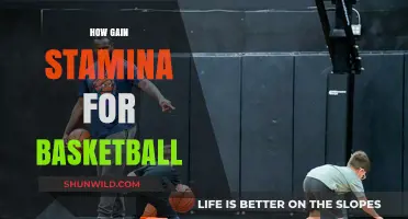 Stamina Secrets for Basketball Players