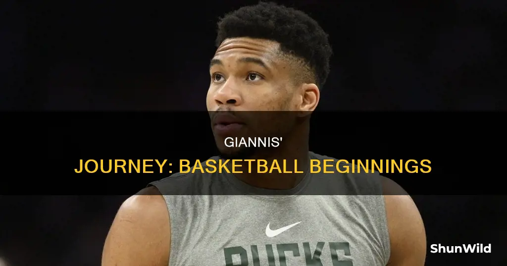 how giannis got into basketball