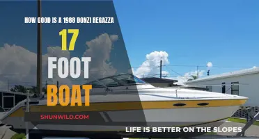 Classic Donzi Regazza: 17 Feet of Boating Bliss?