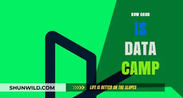 Is DataCamp Worth It? A Comprehensive Review and Analysis