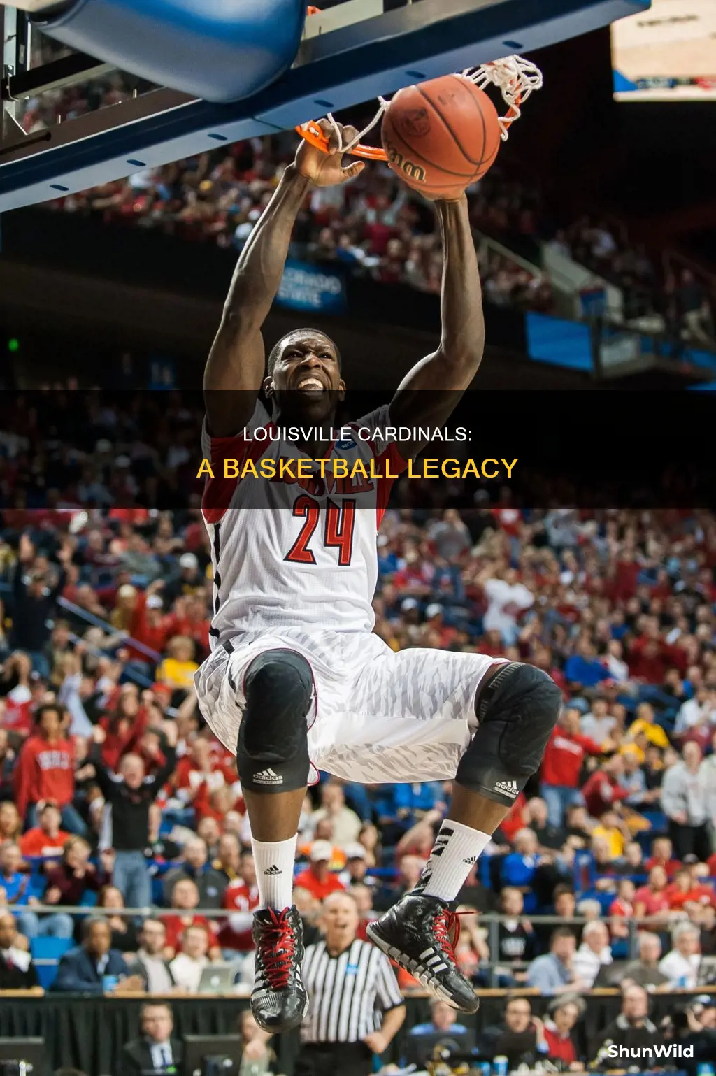how good is uofl men