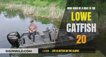 Impressive Lowe Catfish 20: A Great Boat?