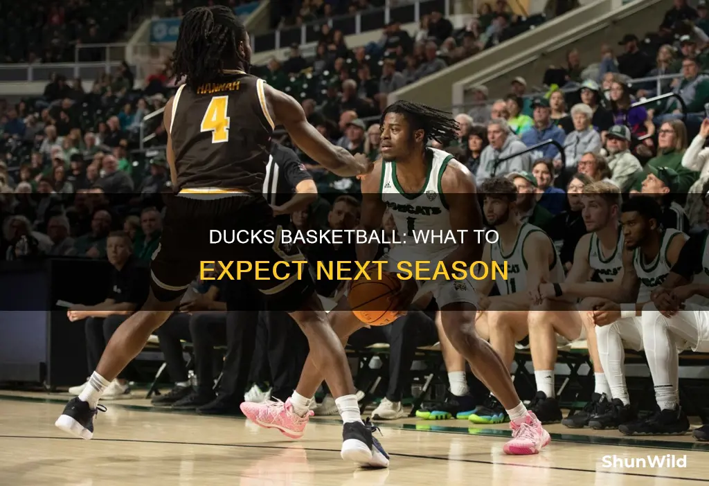 how good will oregon basketball be next year