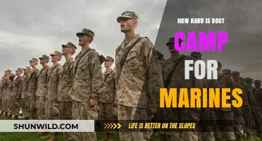 Marine Boot Camp: Unveiling the Physical and Mental Challenges Recruits Face
