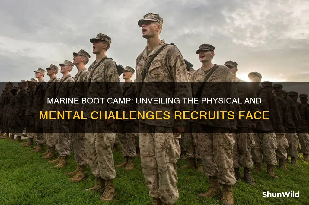 how hard is boot camp for marines