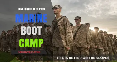 Surviving Marine Boot Camp: Unveiling the Physical and Mental Challenges