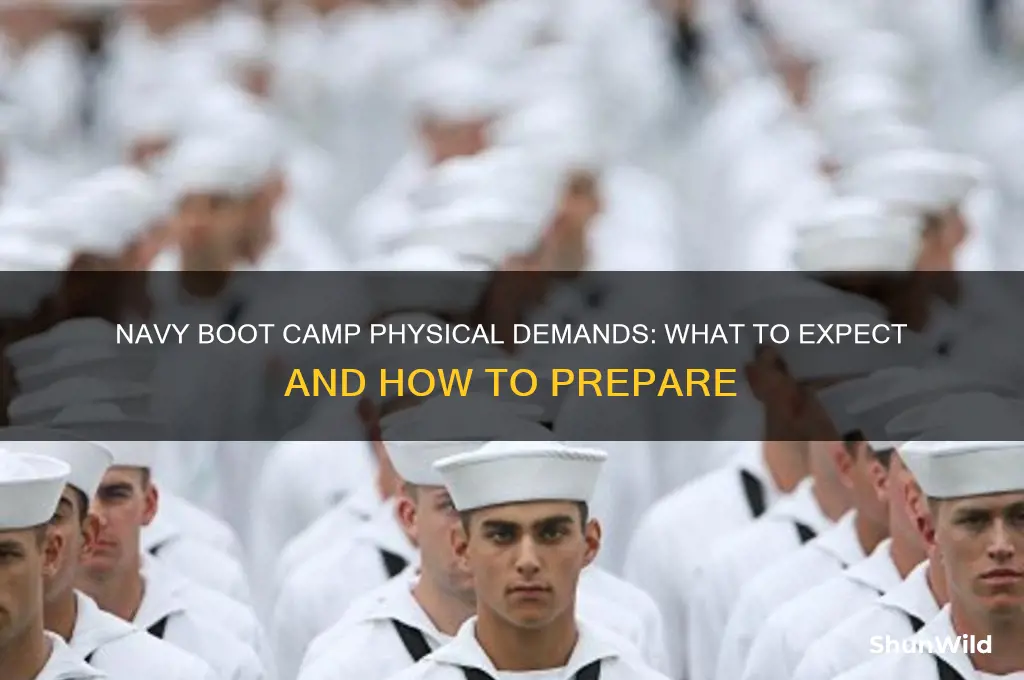 how hard is navy boot camp physical