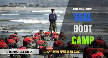Navy SEAL Boot Camp: Unveiling the Brutal Path to Becoming a Warrior