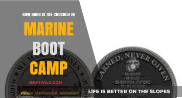 The Crucible Challenge: Unveiling Marine Boot Camp's Ultimate Test