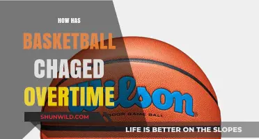 The Evolution of Basketball: A Dynamic Sport's Journey