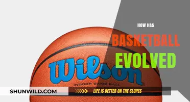 The Evolution of Basketball: A Dynamic Sport's Journey
