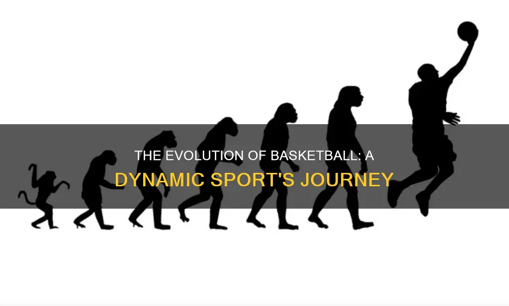 how has basketball evolved