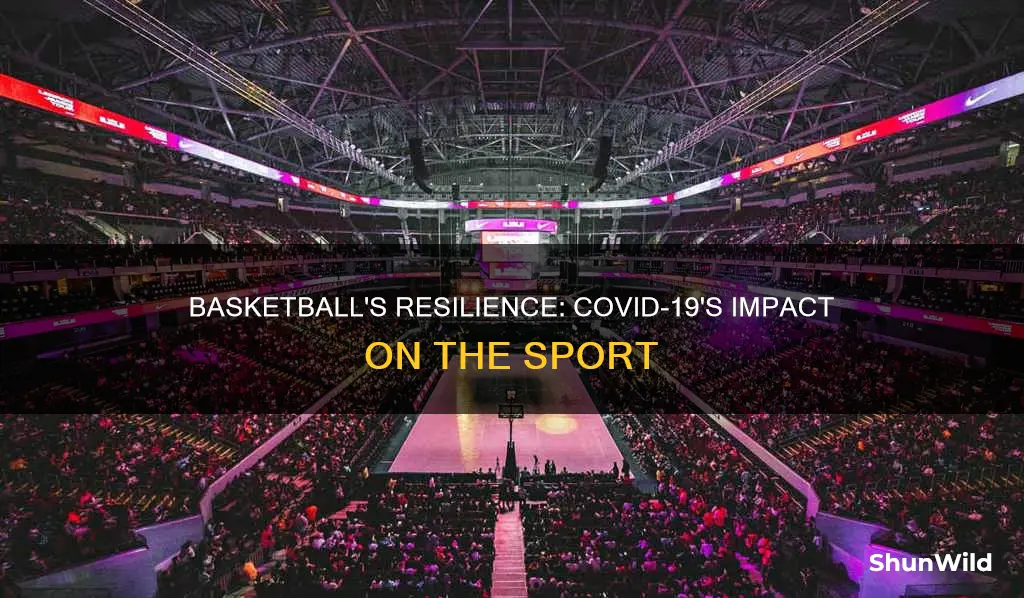 how has covid 19 affected basketball
