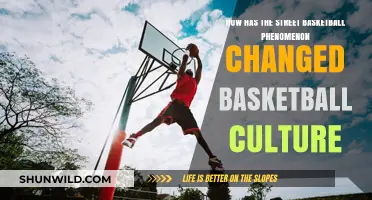 Streetball's Influence: Shaping Basketball's Culture and Style