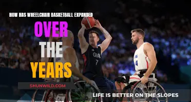 The Evolution of Wheelchair Basketball: Expanding Horizons