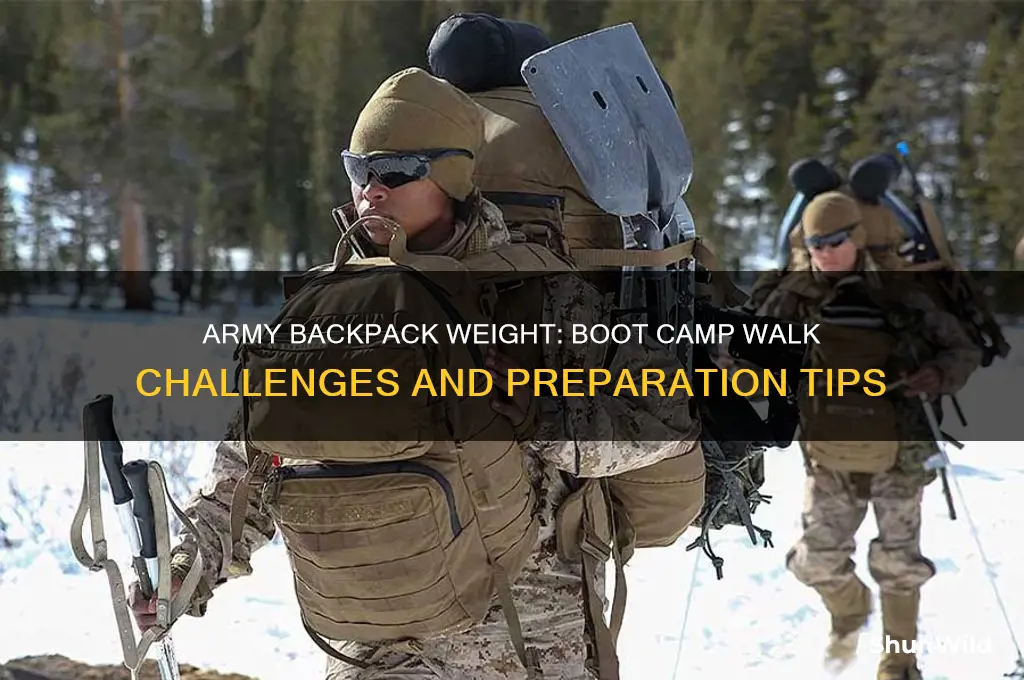 how heavy are army backpacks boot camp walk