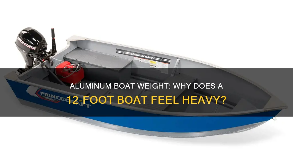 how heavy is a 12 foot aluminum boat