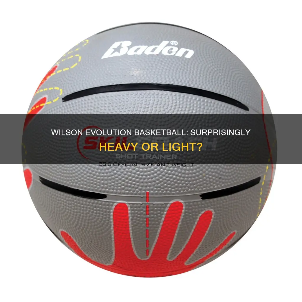 how heavy is wilson evolution basketball