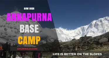 Exploring Annapurna Base Camp's Altitude: A Trekker's Ultimate Guide
