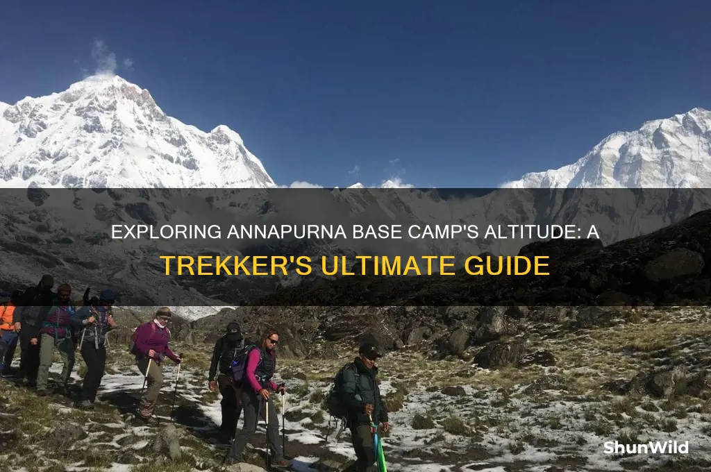 how high annapurna base camp