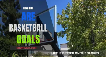 The Universal Height of Basketball Hoops Explained