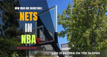 The Height of NBA Basketball Nets: Standardized or Adjustable?