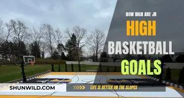 Basketball Dreams: Jr. High Hoop Heights Explained