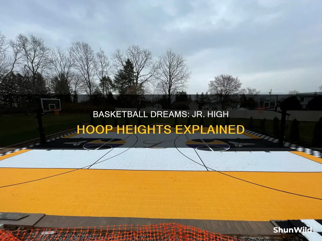 how high are jr high basketball goals
