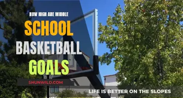 Basketball Dreams: Middle School Hoop Heights Explained