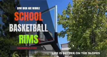 Middle School Basketball Rims: How High Are They?