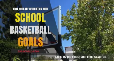Basketball Dreams: Regulation Hoop Heights for High Schoolers