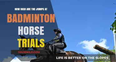 Badminton Horse Trials: Jumping to Great Heights