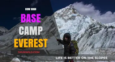 Everest Base Camp Altitude: How High is the Trekking Adventure?