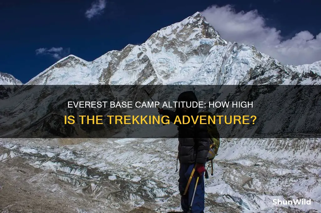 how high base camp everest