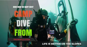 Navy Boot Camp Dive Heights: How High Do Recruits Jump?