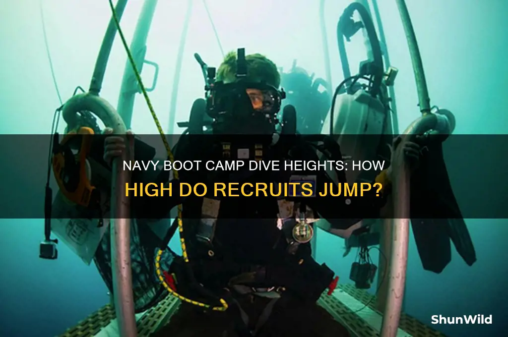 how high do navy boot camp dive from