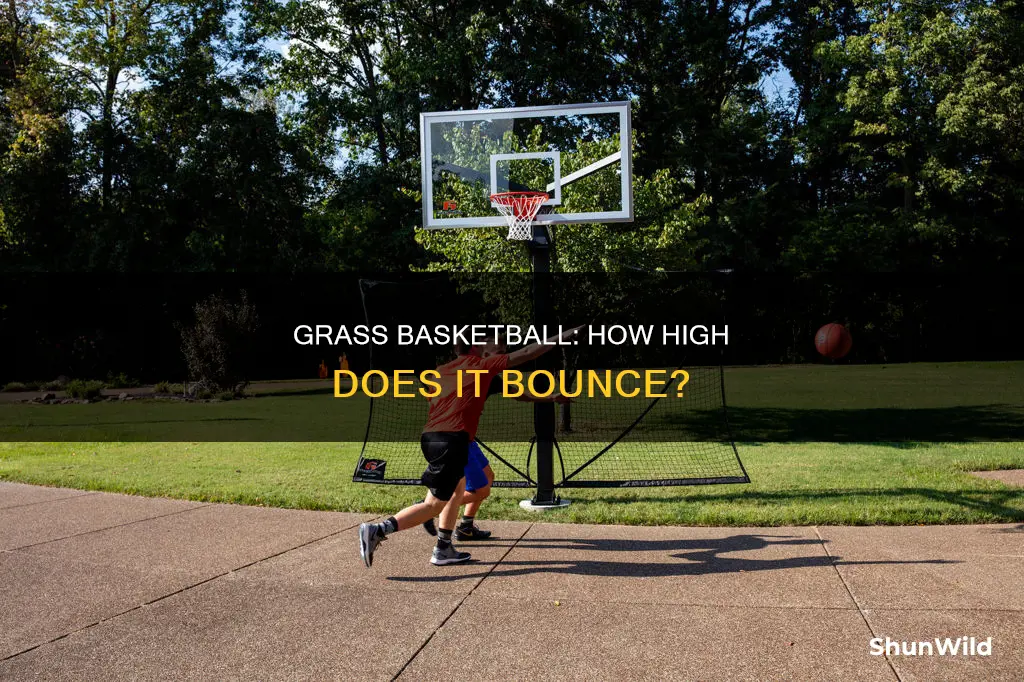 how high does a basketball bounce on grass