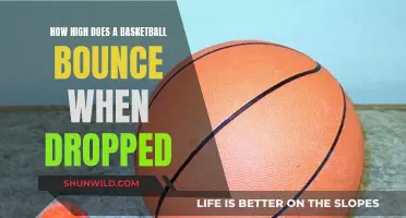 The Bounce Factor: Basketball Drop Height Experiment