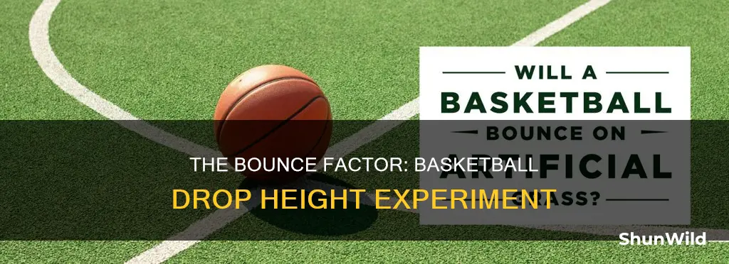 how high does a basketball bounce when dropped