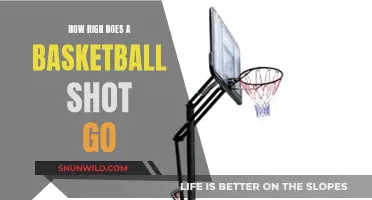 Basketball Shots: How High Do They Really Go?