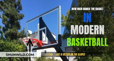 The Evolution of Rim Height in Modern Basketball