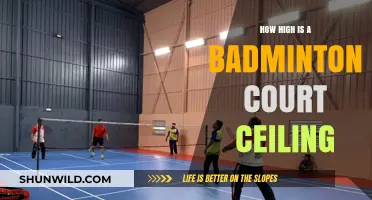 Badminton Court Ceiling Heights: Rules and Regulations