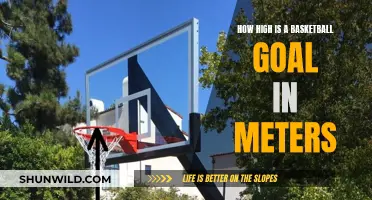 Basketball Goal Height: Standard Meters Measurement