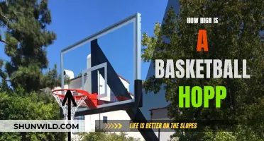 Basketball Hoop Heights: How High Do Players Jump?