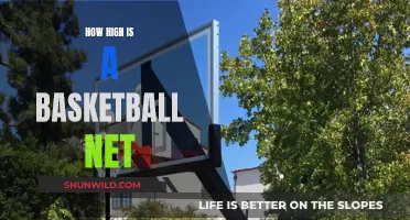 The Height of Basketball Nets: Standardized Measurements and More