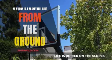 The Height of Basketball Hoops: How High Are They?